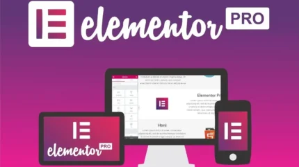 Elementor Pro