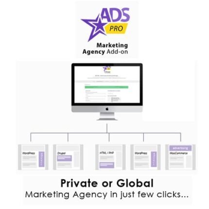 Ads Pro Add-on – WordPress Marketing Agency