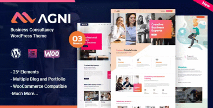 Agni – Business Consulting