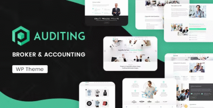 Auditing – Accounting Consultant, Finance WordPress Theme